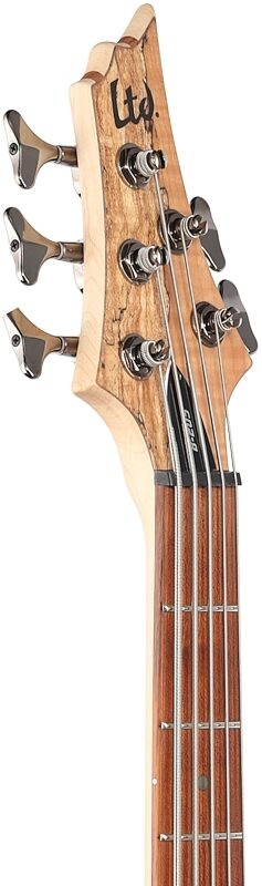 ESP LTD B205SM Electric Bass, 5-String, Natural Satin, Headstock Left Front