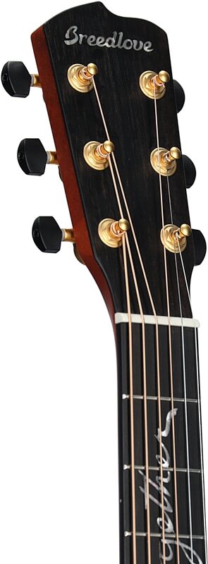 Breedlove Jeff Bridges Oregon Dreadnought Concerto CE Acoustic-Electric Guitar (with Gig Bag), Blemished, Headstock Left Front