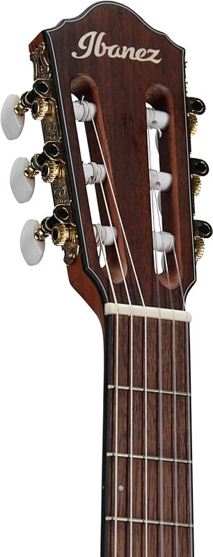 Ibanez FRH10N Classical Acoustic-Electric Guitar, Natural Flat, Headstock Left Front