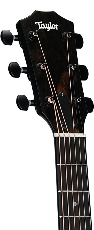Taylor 214ce-SE Grand Auditorium Acoustic-Electric Guitar (with AeroCase), Blue, Headstock Left Front