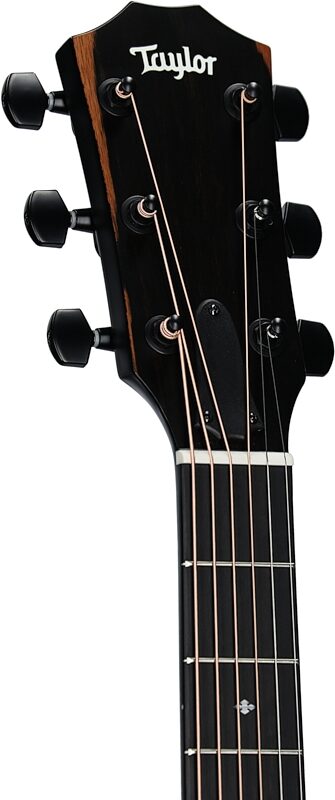 Taylor 214ce-SE Grand Auditorium Acoustic-Electric Guitar (with AeroCase), Grey, Headstock Left Front