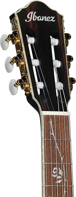 Ibanez Tim Henson TOD10 Acoustic-Electric Classical Guitar, Left-Handed, Transparent Black Flat, Headstock Left Front