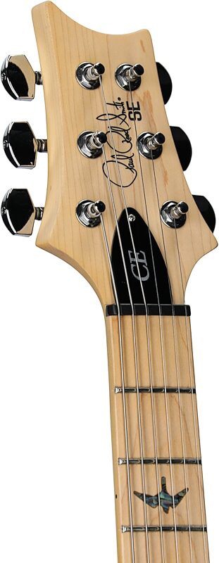 PRS Paul Reed Smith SE Swamp Ash Special Electric Guitar (with Gig Bag), Charcoal, Headstock Left Front
