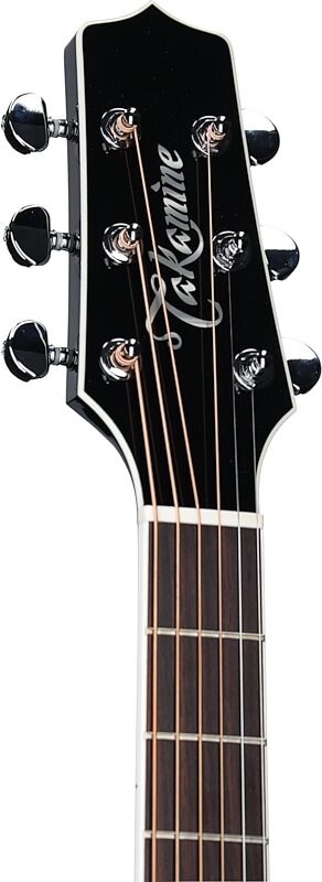Takamine Limited Edition FT341 Acoustic-Electric Guitar (with Gig Bag), Black, Headstock Left Front