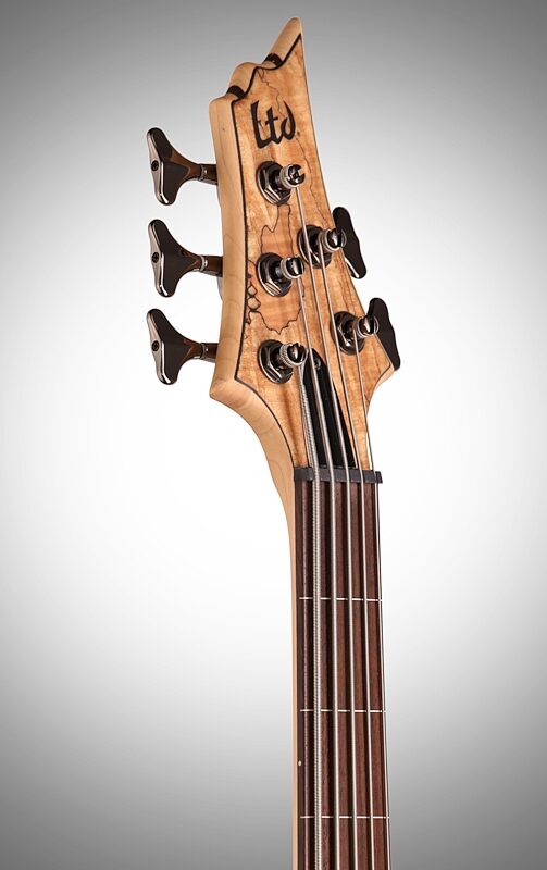 ESP LTD B-205SM Fretless Electric Bass, 5-String, Natural Satin, Headstock Left Front