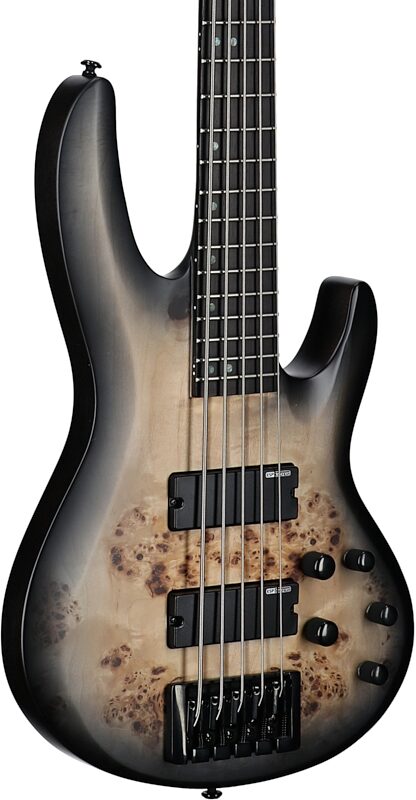 ESP LTD B-5 Electric Bass, 5-String (with Ebony Fingerboard), Charcoal Burst Satin, Full Straight Back