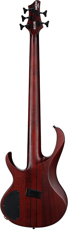 Ibanez BTB705 Bass Workshop Multi-scale Electric Bass, Natural Brown Burst, Full Straight Back