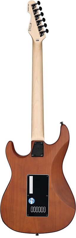 ESP LTD SN-1000 EverTune Electric Guitar, Koa Natural Satin, Full Straight Back
