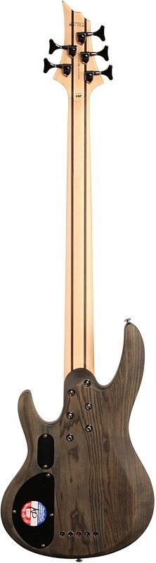 ESP LTD B205SM Electric Bass, 5-String, See Thru Black, Full Straight Back