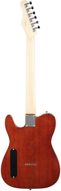 Michael Kelly 59 Thinline Electric Guitar, Natural Top, Spalted Maple, Full Straight Back