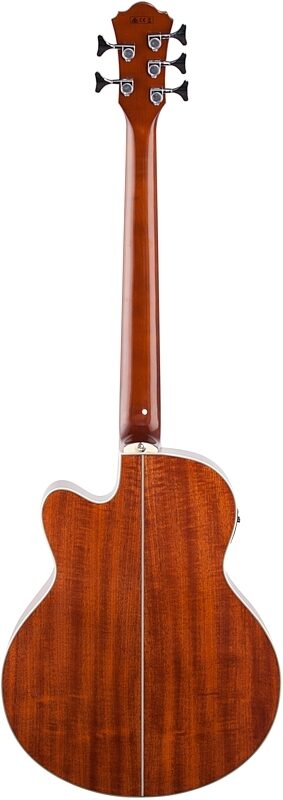 Ibanez AEB105E Acoustic-Electric Bass, 5-String, Natural High-Gloss, Full Straight Back