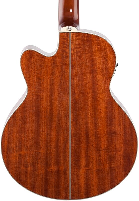 Ibanez AEB105E Acoustic-Electric Bass, 5-String, Natural High-Gloss, Body Straight Back