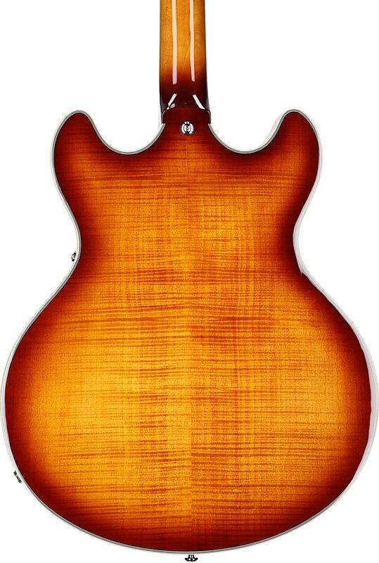 D'Angelico Premier SS Electric Guitar (with Gig Bag), Dark Iced Tea Burst, Body Straight Back
