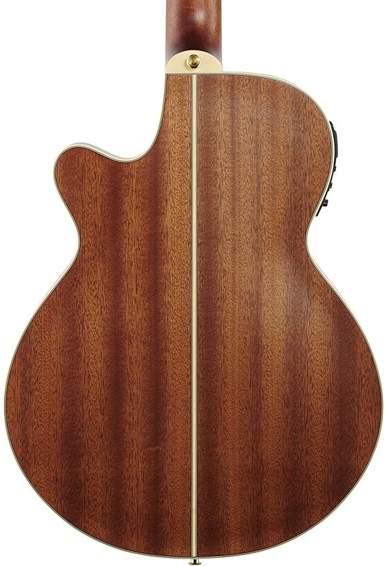 Takamine TSP148N Thinline Nylon Acoustic-Electric Guitar (with Gig Bag), Cedar Natural Satin, Body Straight Back