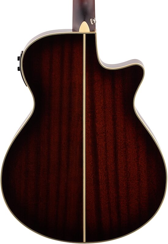Ibanez AEG19LII Acoustic-Electric Guitar, Left Handed, Tiger Burst, Body Straight Back