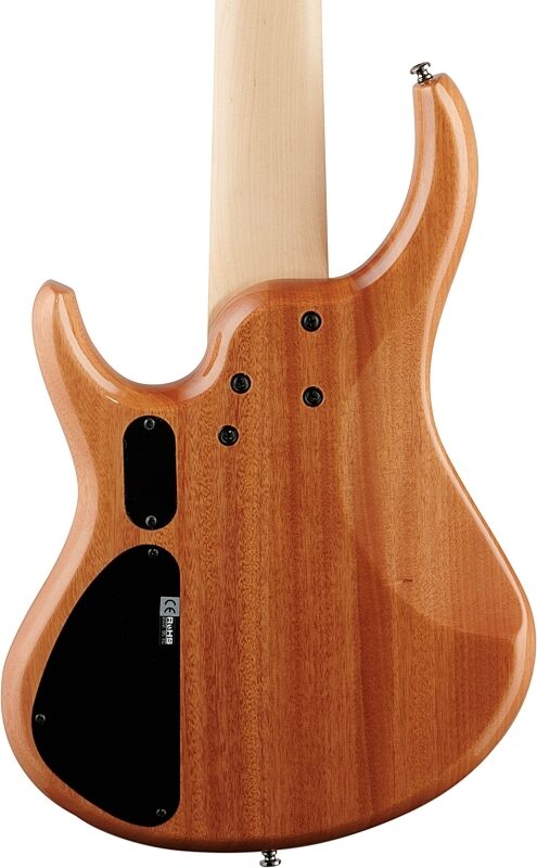 MTD Kingston Z5MP Electric Bass, 5-String, Satin Natural Burled Maple, Scratch and Dent, Body Straight Back
