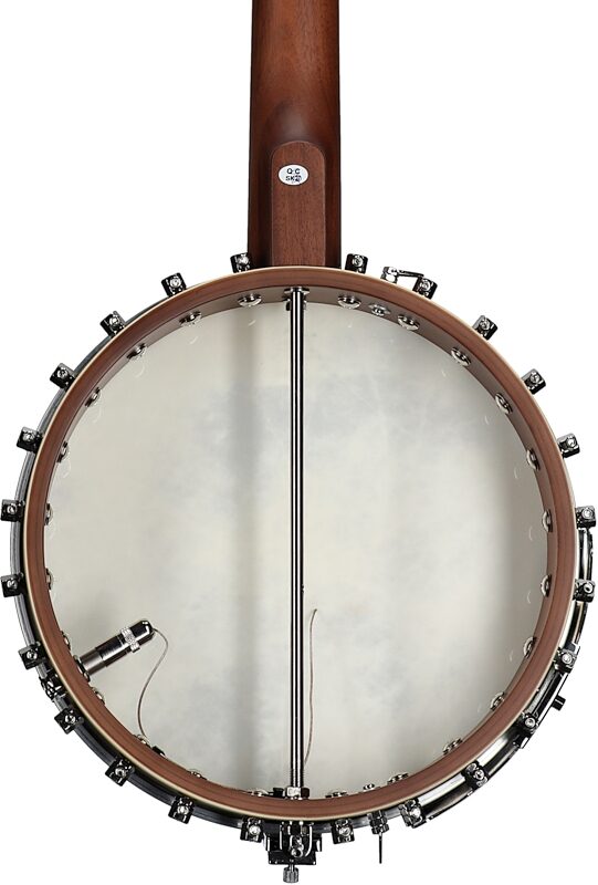 Fender Paramount Series PB-180E Acoustic Electric Banjo (with Gig Bag), Natural, Body Straight Back