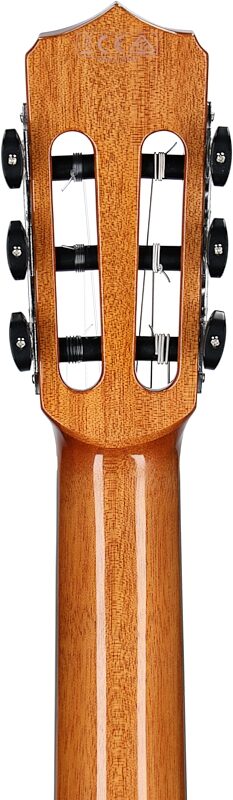 Cordoba Fusion Orchestra CE Classical Acoustic-Electric Guitar, Teardrop Burst, Headstock Straight Back