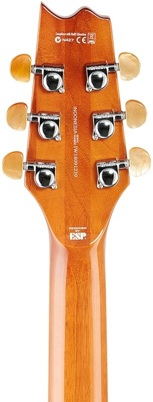 ESP LTD TL6FM Acoustic-Electric Thinline Guitar, Aqua Marine, Headstock Straight Back