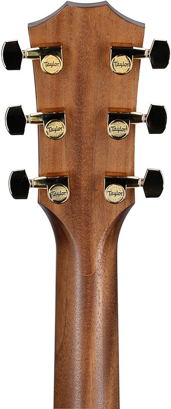 Taylor 50th Anniversary American Dream Acoustic Electric Guitar (with Case), Sunburst, Headstock Straight Back