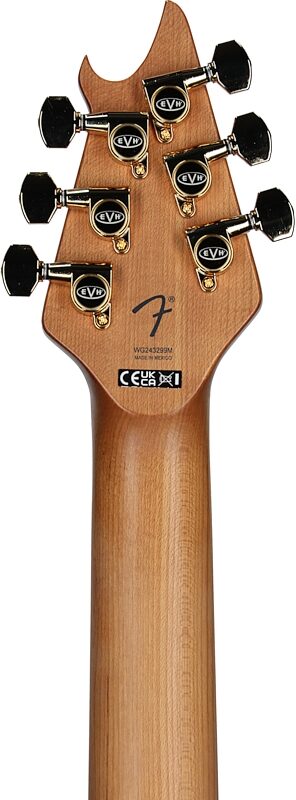 EVH Eddie Van Halen Limited Edition Wolfgang Special TOM Archtop Electric Guitar, Oxblood, Headstock Straight Back