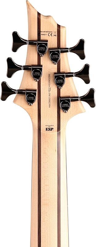 ESP LTD B206SM Electric Bass, 6-String, Natural Satin, Headstock Straight Back