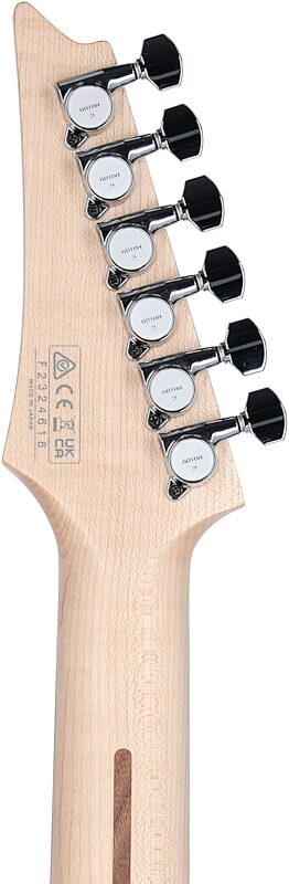 Ibanez JS-3 Joe Satriani Signature Electric Guitar (with Case), Chrome Boy, Headstock Straight Back