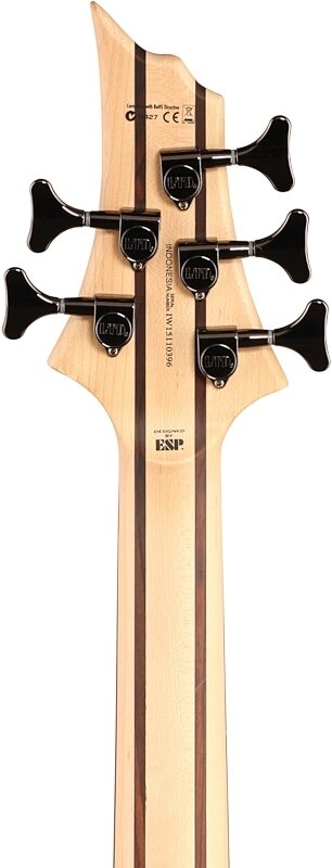 ESP LTD B205SM Electric Bass, 5-String, See Thru Black, Headstock Straight Back