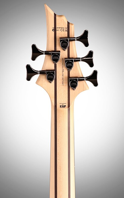 ESP LTD B-205SM Fretless Electric Bass, 5-String, Natural Satin, Headstock Straight Back