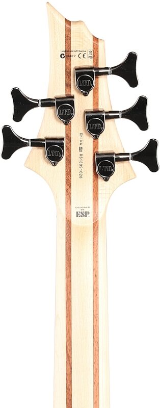 ESP LTD B205SM Electric Bass, 5-String, Natural Satin, Headstock Straight Back