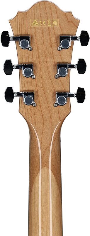 Ibanez AE170 Acoustic-Electric Guitar, Natural Hi Gloss, Headstock Straight Back
