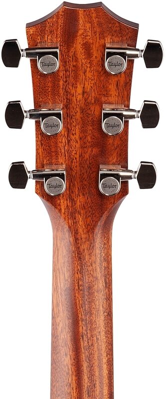 Taylor 317eV Grand Pacific Acoustic-Electric Guitar (with Case), New, Headstock Straight Back