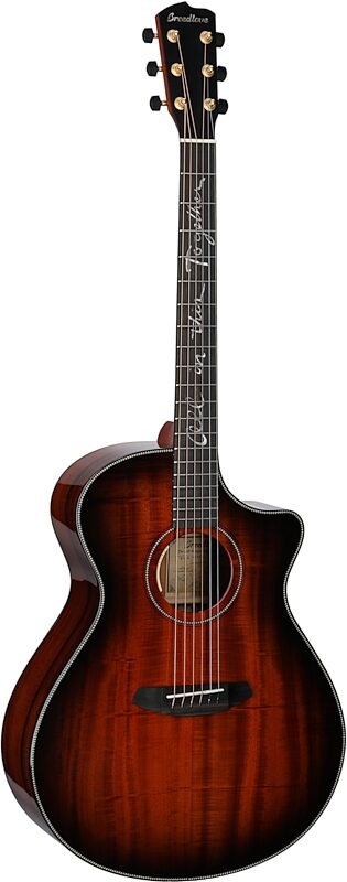 Breedlove Jeff Bridges Oregon Dreadnought Concerto CE Acoustic-Electric Guitar (with Gig Bag), New, Serial Number 29617, Body Left Front