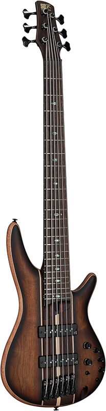 Ibanez SR1356B Premium Electric Bass, 6-String (with Gig Bag), Dual Mocha Burst Flame, Body Left Front