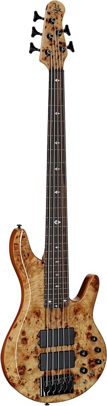 Michael Kelly Pinnacle 5 Fretless Electric Bass, 5-String, Natural Burl, Body Left Front