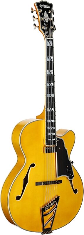 D'Angelico Excel 16 Hollowbody Electric Guitar (with Case), Amber, Body Left Front