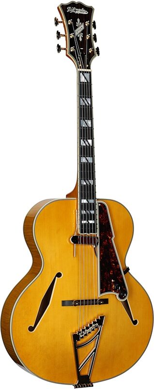 D'Angelico Excel Style B Archtop Electric Guitar (with Case), Amber, Body Left Front