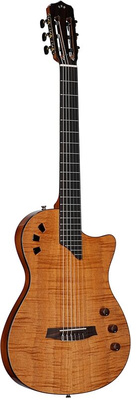 Cordoba Stage Thinbody Classical Acoustic-Electric Guitar, Amber, Body Left Front