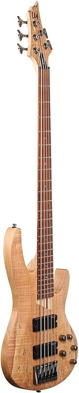 ESP LTD B205SM Electric Bass, 5-String, Natural Satin, Body Left Front