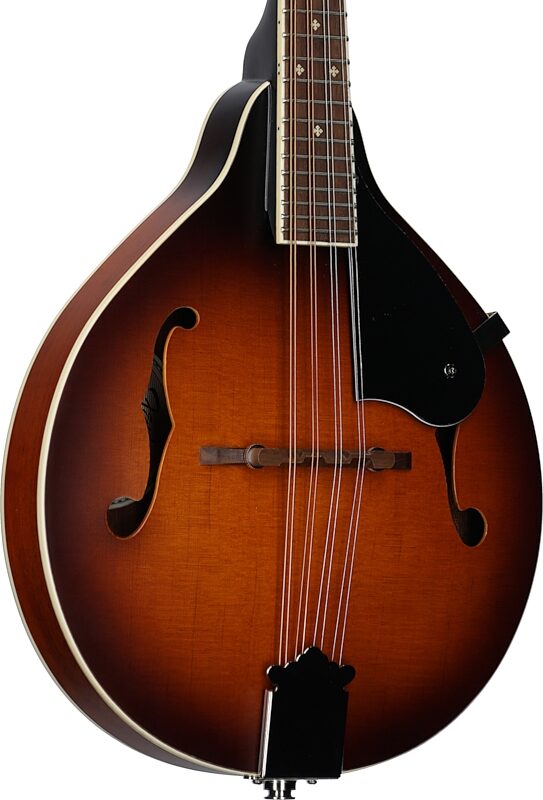 Fender Paramount PM180E Acoustic-Electric Mandolin (with Gig Bag), Cognac, Full Left Front