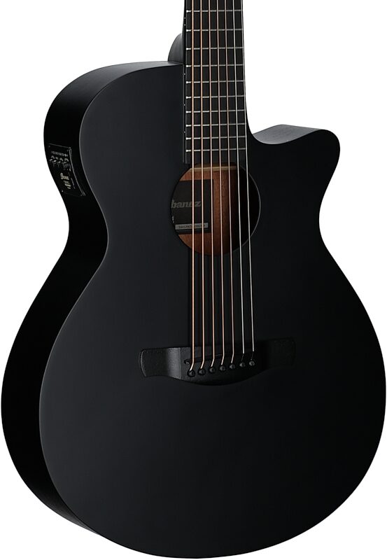 Ibanez AEG721 Acoustic-Electric Guitar, Black Out, Full Left Front