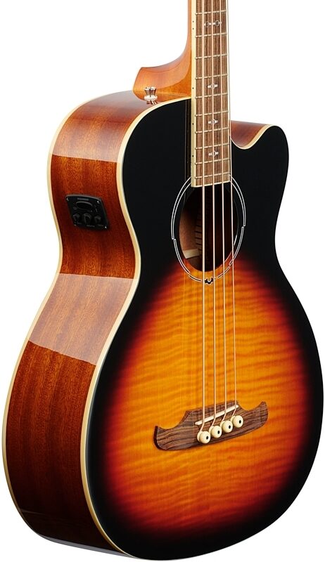 Fender FA450CE Acoustic-Electric Bass, 3-Color Sunburst, Full Left Front