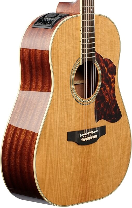 Takamine CRN-TS1 Slope Shoulder Dreadnought Acoustic-Electric Guitar (with Case), Natural, Full Left Front