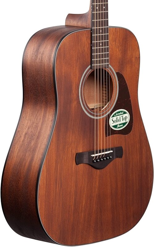 Ibanez AW54OPN Artwood Acoustic Guitar, Open Pore Natural, Full Left Front