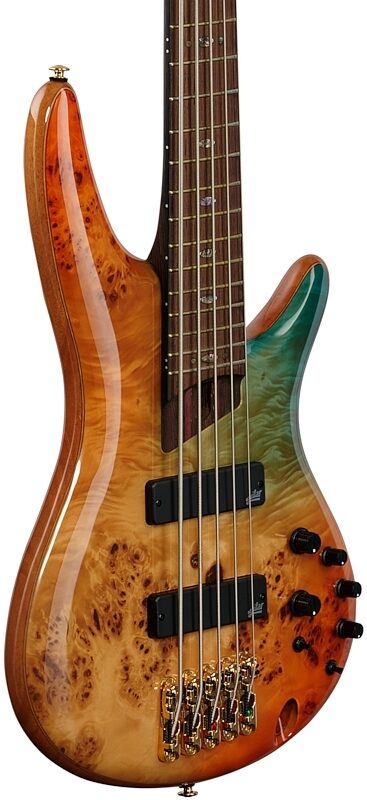 Ibanez Premium SR1605DW Electric Bass, 5-String (with Gig Bag), Autumn Sunset Sky, Full Left Front