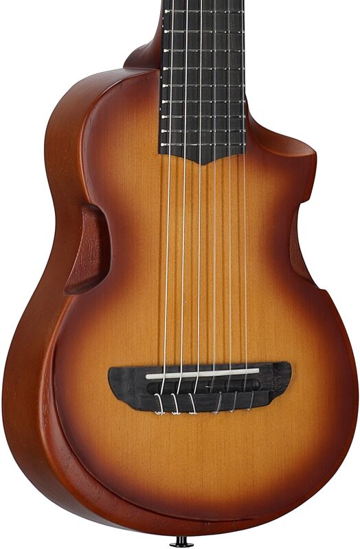 Ibanez AUP10N Tenor Ukulele (with Gig Bag), Open Pore Light Brown Sunburst, Full Left Front