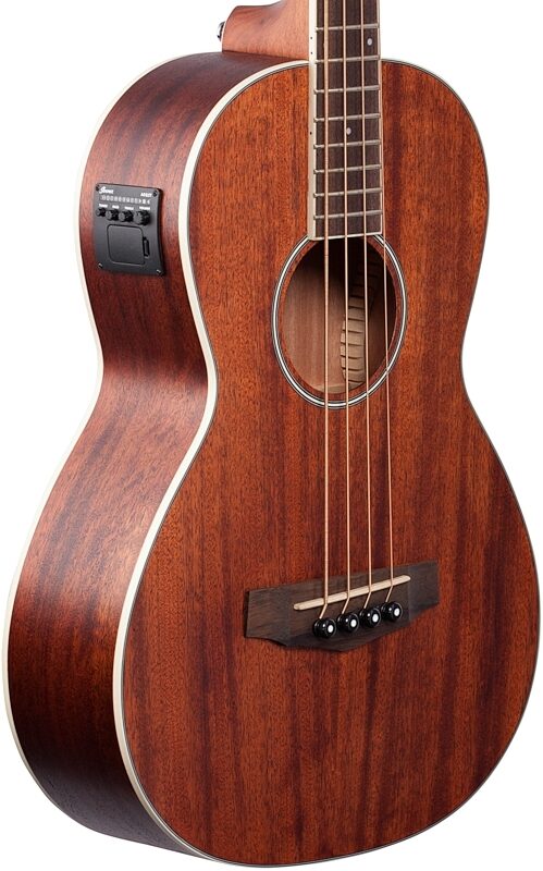 Ibanez PNB14E Performance Parlor Acoustic-Electric Bass Guitar, Open Pore Natural, Full Left Front