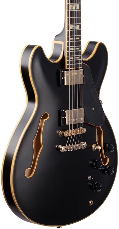 Ibanez John Scofield JSM20 Semi-Hollowbody Electric Guitar (with Case), Black, Full Left Front