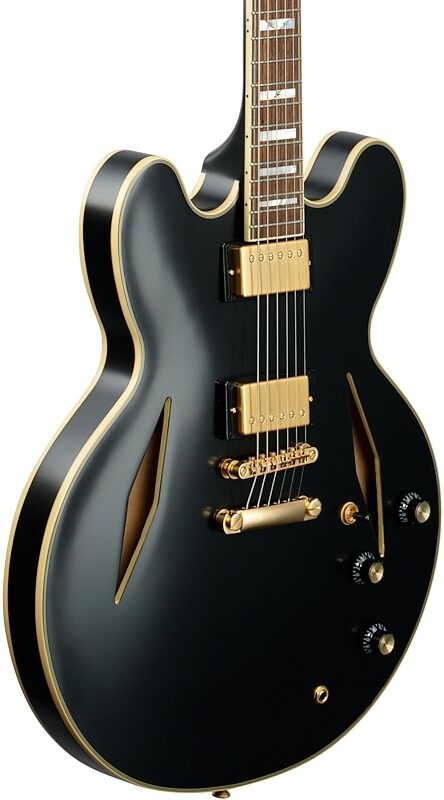 Epiphone Emily Wolfe Sheraton Stealth Electric Guitar (with Hard Bag), Black Aged Gloss, Full Left Front