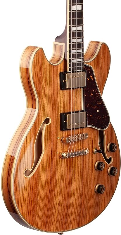 Ibanez AS93ZW Artcore Expressionist Semi-Hollowbody Electric Guitar, Natural, Full Left Front